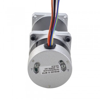 24V Bürstenloser Gleichstrommotor mit 100:1 Getriebe 84W 35 U/min 3 Phasen BLDC-Motor