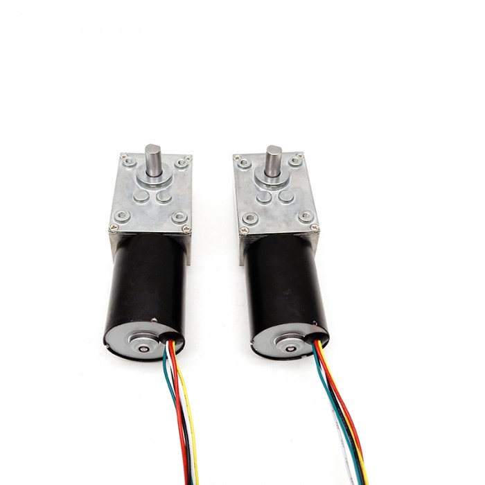 2 Stück Permanentmagnet-DC-Schneckengetriebemotor, 12V / 24V, 10 kg·cm, 37 × 37 mm