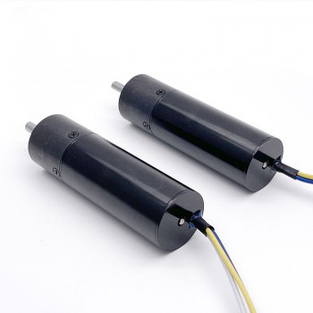 2 Stück BLDC-Getriebemotor GMP20-TEC2047, Ø20 mm, 12V / 24V, 3,0 kg·cm, mit Planetengetriebe