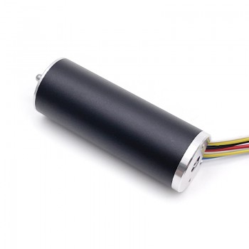 2 Stück bürstenloser Planeten-DC-Getriebemotor, 12V / 24V, kernlos, 800 g·cm, 22 × 60 mm