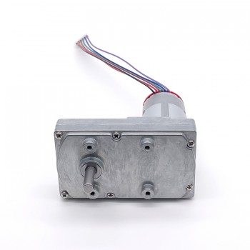 2 Stück DC-Getriebemotor mit Encoder, 12V / 24V, 50 kg·cm, Reduktionsgetriebe