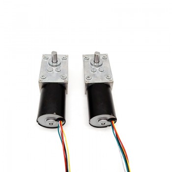 2 Stück Permanentmagnet-DC-Schneckengetriebemotor, 12V / 24V, 10 kg·cm, 37 × 37 mm