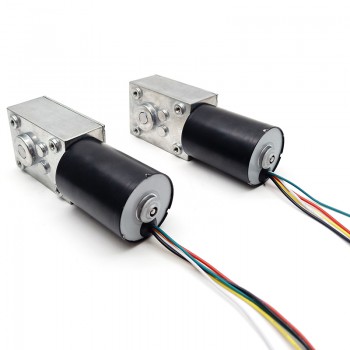 2 Stück Permanentmagnet-DC-Schneckengetriebemotor, 12V / 24V, 10 kg·cm, 37 × 37 mm