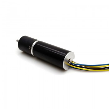 2 Stück 12V 24V kernloser bürstenloser Gleichstrommotor, Planetengetriebe, 3 kg/cm, 9–2700 U/min
