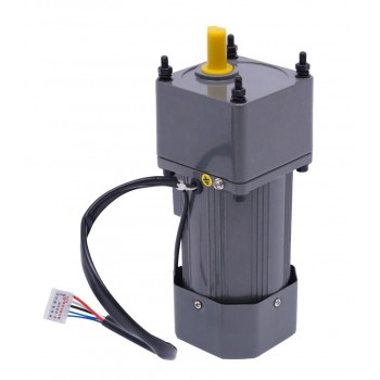 Einphasen AC Induktionsgetriebemotor 120W Übersetzung 40:1 21Nm mit Drehzahlregler