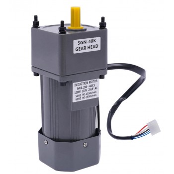 Einphasen AC Induktionsgetriebemotor 120W Übersetzung 40:1 21Nm mit Drehzahlregler