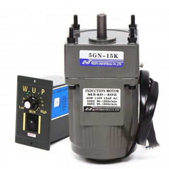 WUP AC Induktionsgetriebemotor 40W Übersetzung 15:1 3,8Nm drehzahlregelbar mit Drehzahlregler