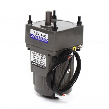 WUP AC Induktionsgetriebemotor 40W Übersetzung 15:1 3,8Nm drehzahlregelbar mit Drehzahlregler