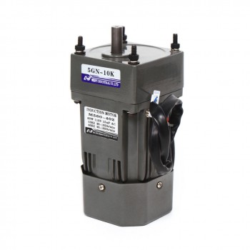WUP AC Induktionsgetriebemotor 60W Übersetzung 10:1 3,8Nm 135U/min reversierbar mit Drehzahlregler