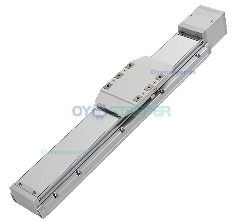 FCH60 Doppel Linearführung Schiene 50-1000mm mit Linearführung 400W Servomotor integriert