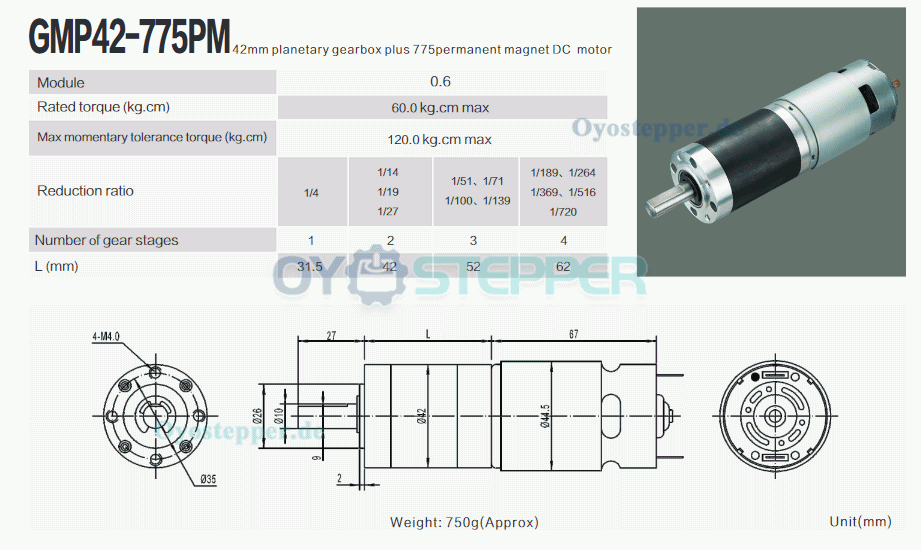 2 Stück Brushed DC-Getriebemotor mit Planetengetriebe, 12V / 24V, 60 kg·cm